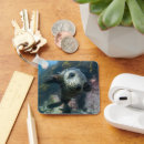 Search for baby seal key rings Young animal