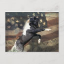 Search for rearing postcards Mustang