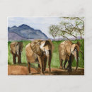 Search for elephant lovers postcards Jungle