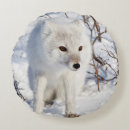 Search for canidae Carnivore