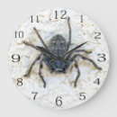 Search for creepy spider clocks Arachnid