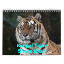 Search for bengal cat calendars Wild