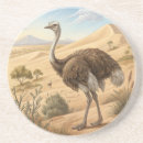 Search for ostrich coasters Animal