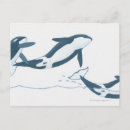 Search for killers postcards Animals