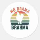 Search for white chicken stickers Vintage