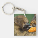 Search for sloth image key rings Smithsonian