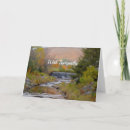 Search for stream cards Scenic