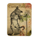 Search for fiddle magnets Cat