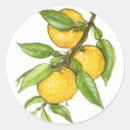Search for health food stickers Illustration