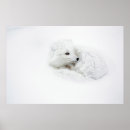Search for lagopus posters Canada