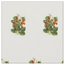 Search for shabby fabric Sweet