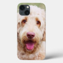Search for photo ipad cases Goldendoodle