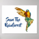 Search for amazon rainforest posters Jungle