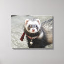 Search for ferret art posters Polecat