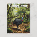 Search for cassowary Travel