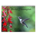 Search for hummingbird calendars 2025