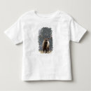 Search for rolf tshirts Male