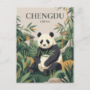 Search for panda postcards Wildlife