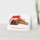 Search for mastiff christmas cards Santa