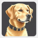 Search for collar stickers Golden retriever