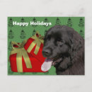Search for newfies postcards Cute