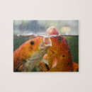 Search for carp puzzles Water