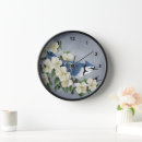 Search for bluejay Birds