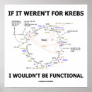 Search for functional posters Geek