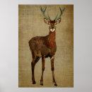 Search for woodsy posters Elk