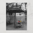 Search for colour splash postcards White