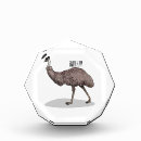 Search for emu home decor Bird