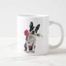 Search for boston terrier valentine Rose