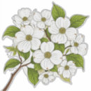 Search for dogwood flower stickers White