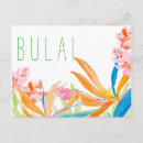 Search for watercolor bird postcards Orange