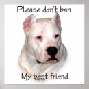 Search for dogo posters Argentino