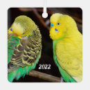 Search for parrot lovers gifts Yellow
