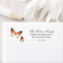 Search for monarch butterfly return address labels Butterflies