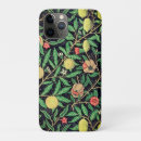 Search for fruit iphone cases illustration