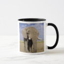 Search for kenya mugs Mammal