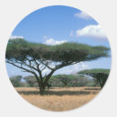 Search for daytimer stickers Colour image