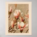 Search for magnolia posters Pink magnolias