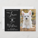 Search for new puppy invitations Modern