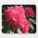 Search for rhododendron mouse mats Garden