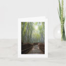 Search for bamboo cards Photography