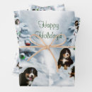 Search for bernese mountain dog christmas wrapping paper Cute