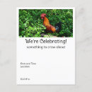 Search for crowing postcards Rooster