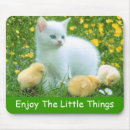 Search for chicks electronics White