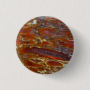 Search for fossilized bones badges Close up