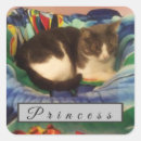 Search for cat hair stickers Kitty