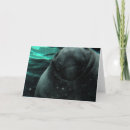 Search for manatee cards Wildlife